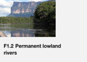 Permanent lowland rivers